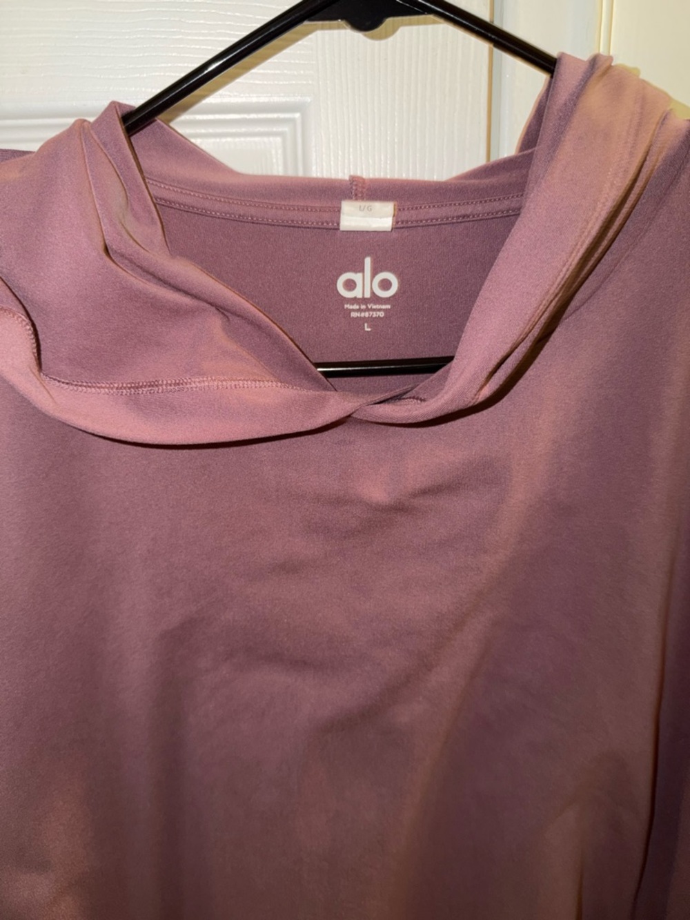 Alo Men’s Conquer Reform Long Sleeve with Hood - Woodrose Size L - Picture 2 of 5